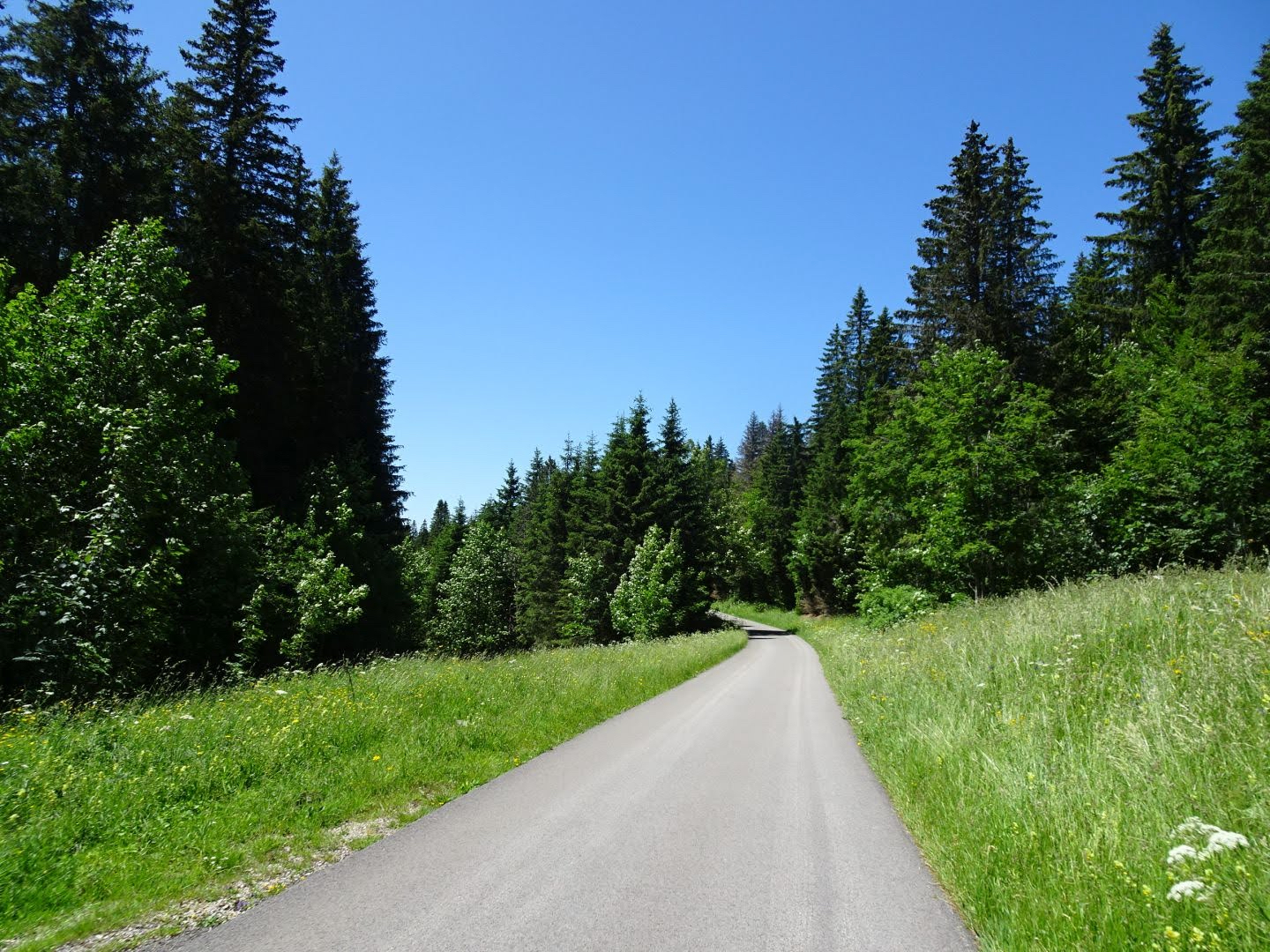La Givrine - Morez - Lamoura - La Faucille