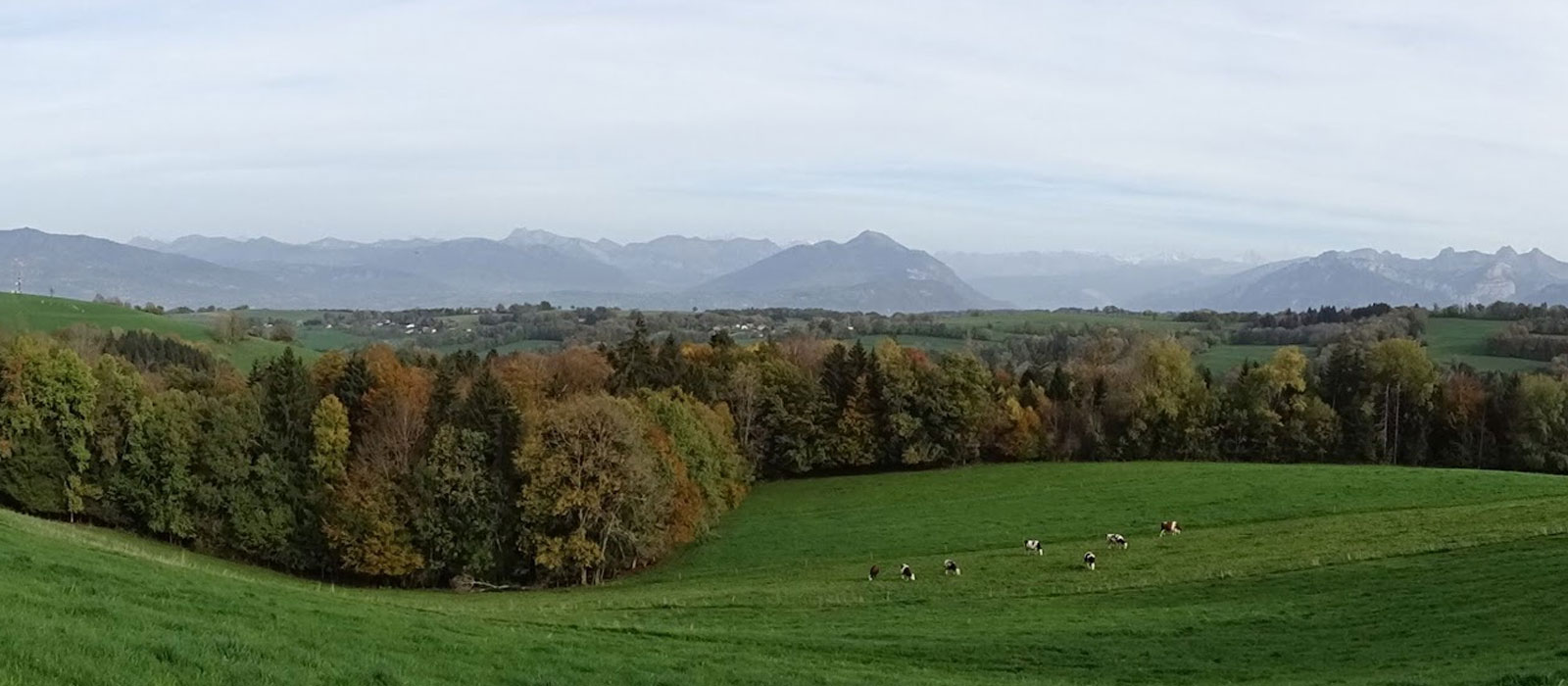 A l'arrière du Salève